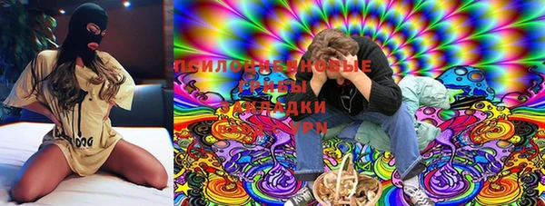 кокс Белокуриха
