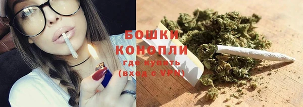 кокс Белокуриха
